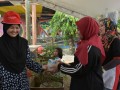 Tn DSC 7809